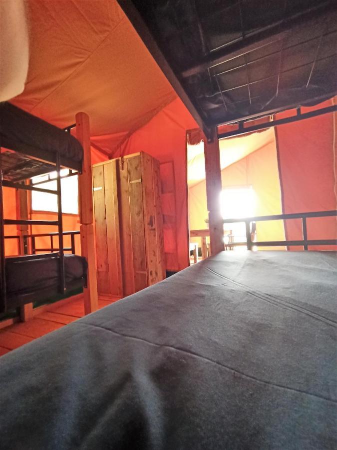 Le Lodge De La Chouette Quarré-les-Tombes 外观 照片